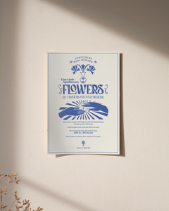 Poster Flowers na zdi a ve slunečním odrazu