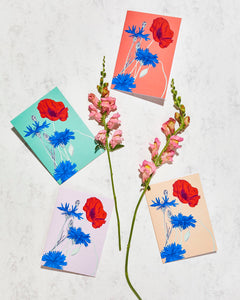 Dárková papírová přání, která hrají barvami s motivem květin chrpa a vlčí mák
